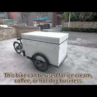 Electric Cargo Tricycle Coffee Bike — Mobile Food Cart video preview